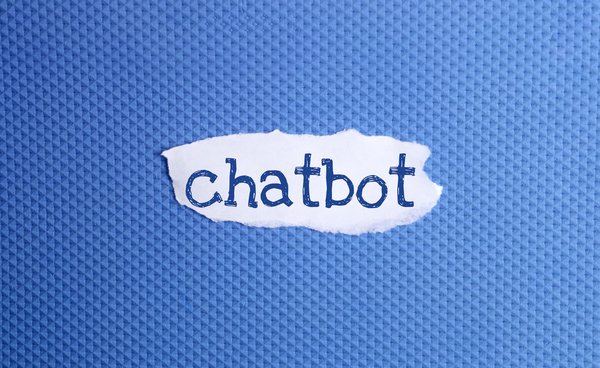 The impact of algorithmic bias on education and employment
